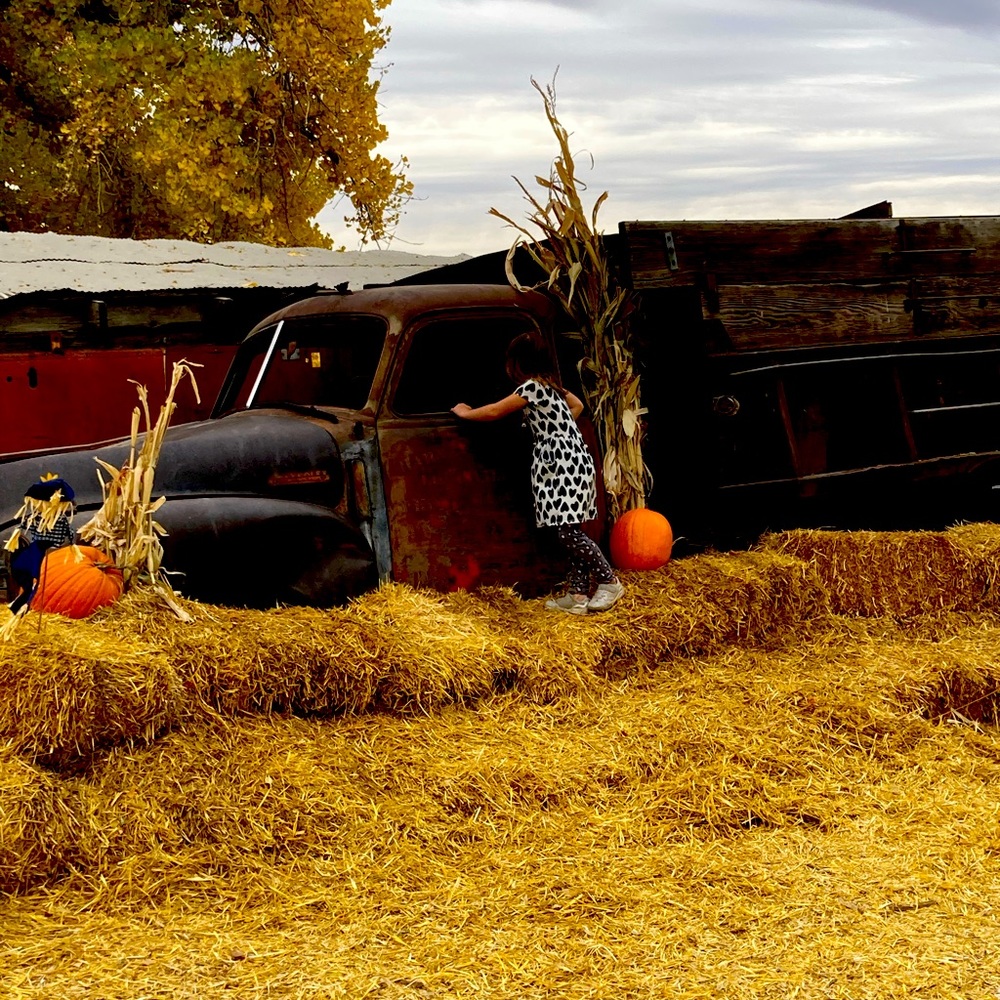 Meet your Posher, Holly